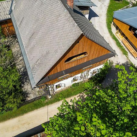 House, Garden And A Green Cat 布莱德 外观 照片
