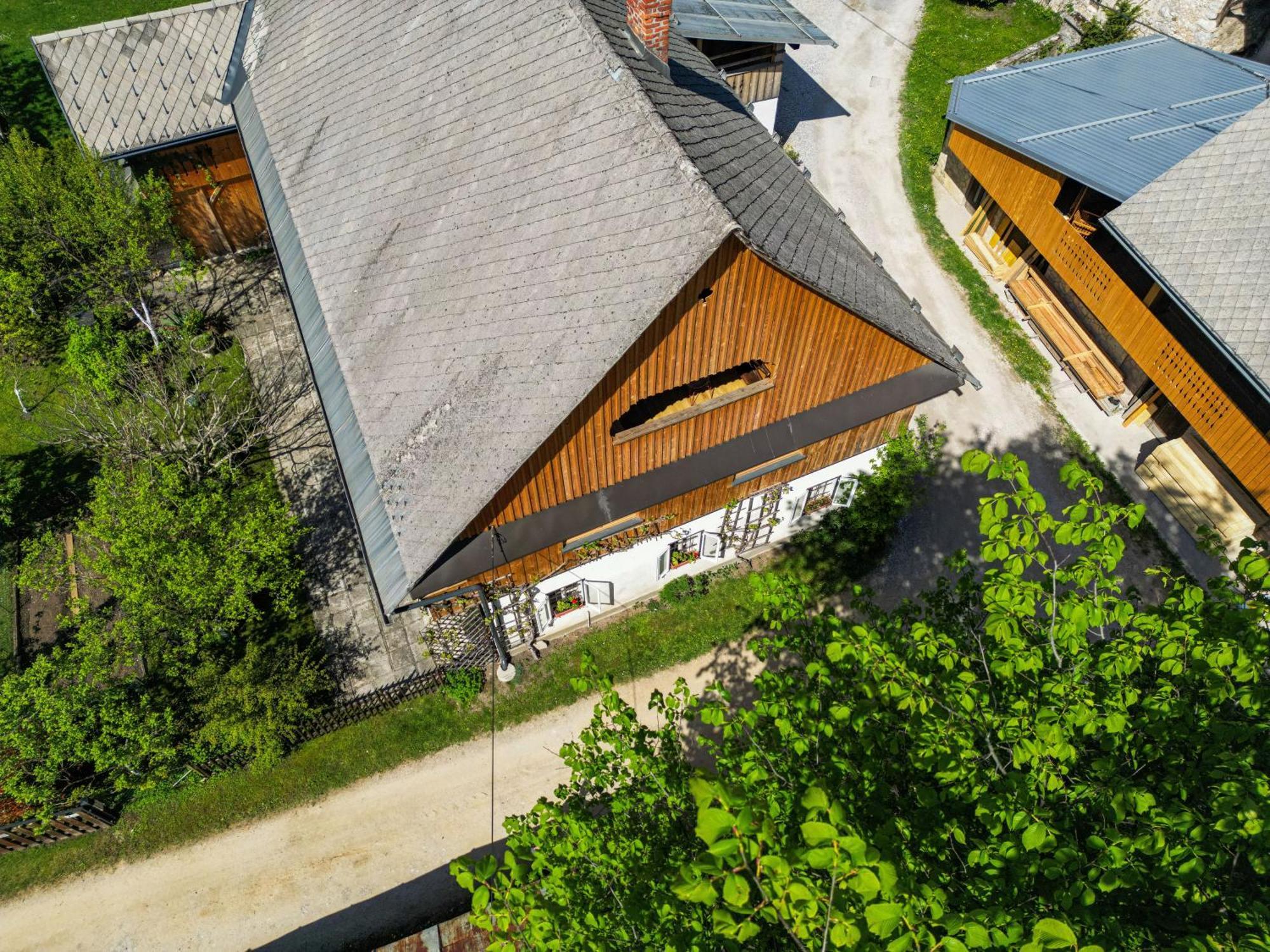 House, Garden And A Green Cat 布莱德 外观 照片