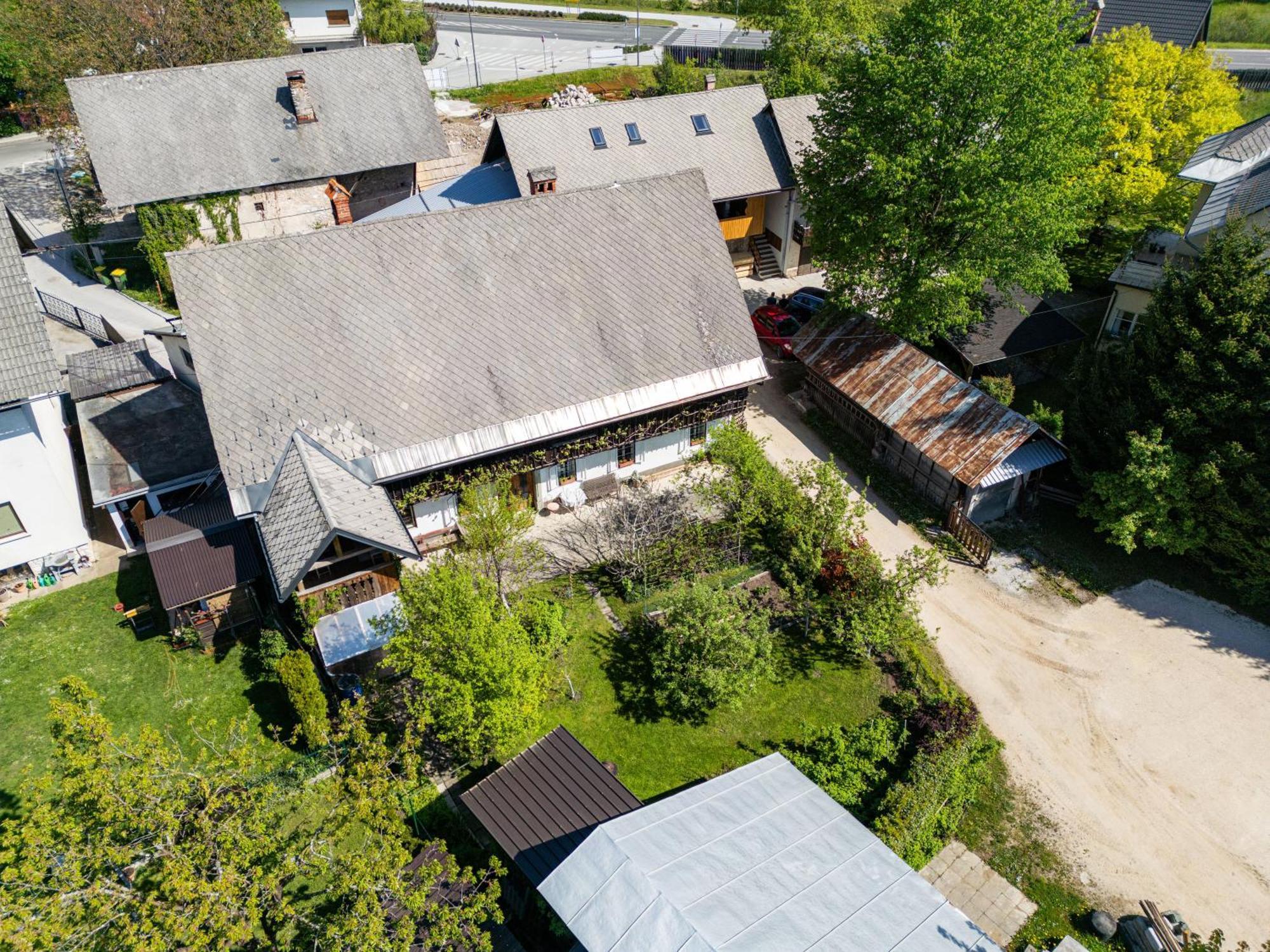 House, Garden And A Green Cat 布莱德 外观 照片
