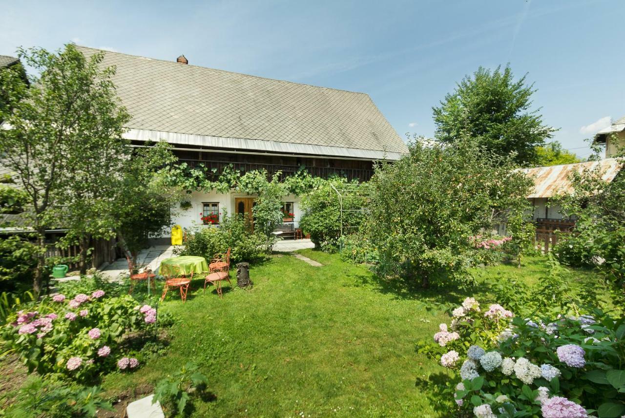 House, Garden And A Green Cat 布莱德 外观 照片