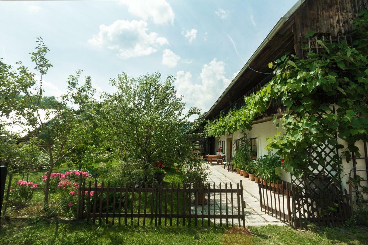 House, Garden And A Green Cat 布莱德 外观 照片